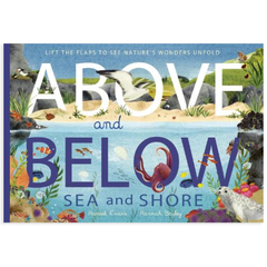 Above and Below: Sea and Shore