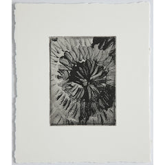 Quicksilver Spiral (Small)