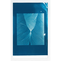 Untitled Feather Moiré