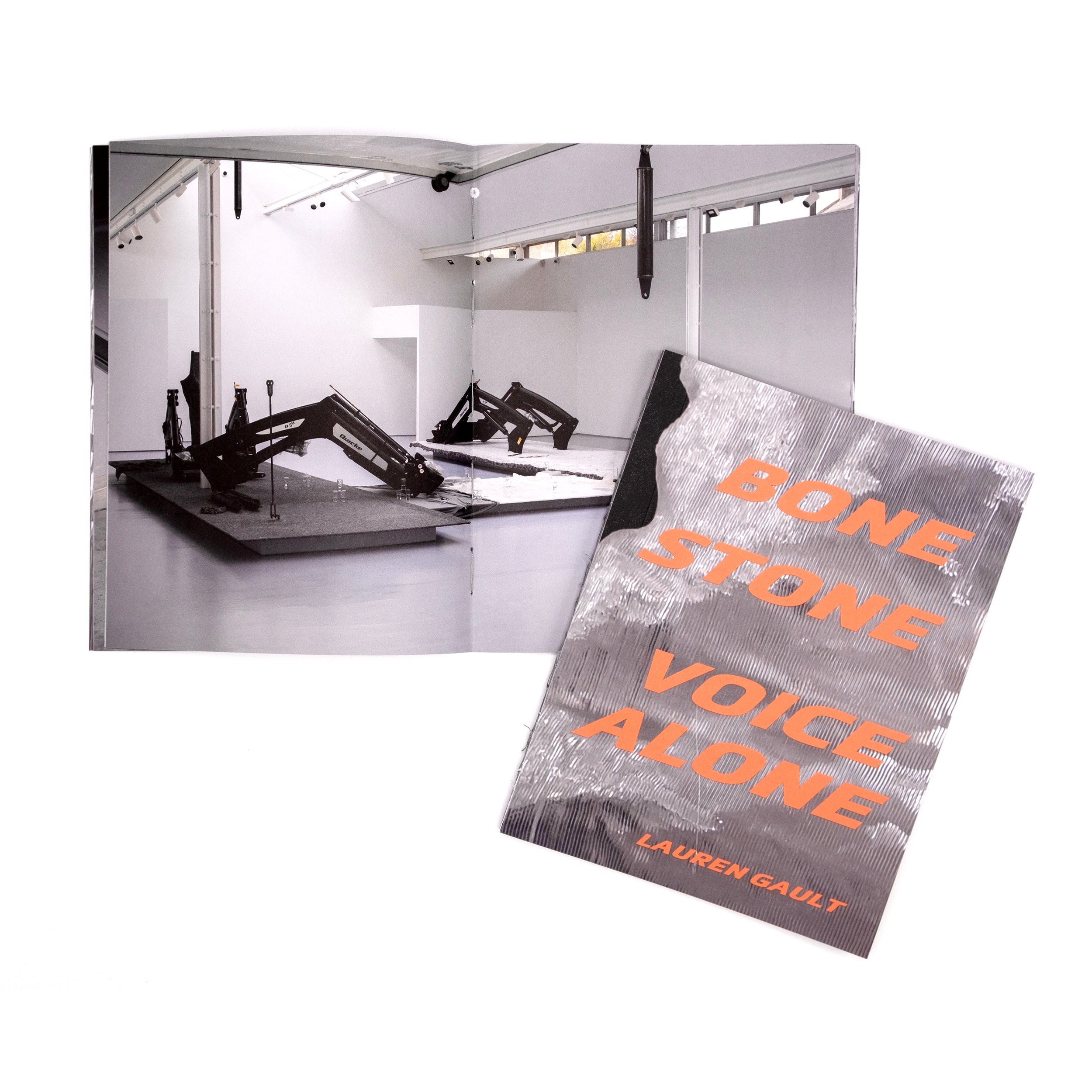 bone stone voice alone | Dundee Contemporary Arts